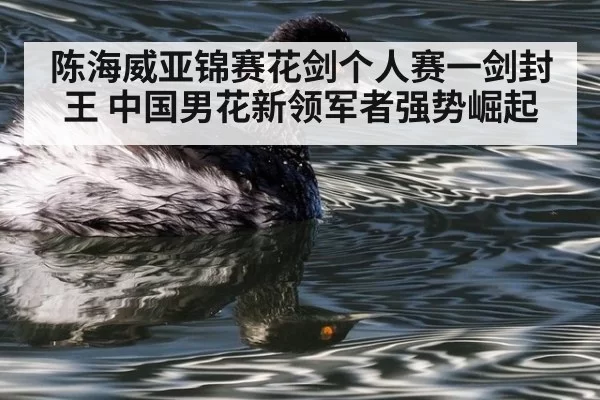 陈海威亚锦赛花剑个人赛一剑封王 中国男花新领军者强势崛起
