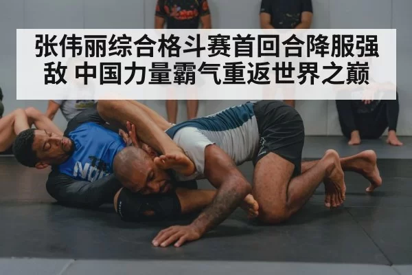 martial arts grappling technique